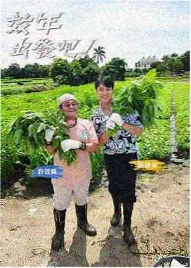 向往的生活7 老牛影视免费观看最新